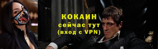 винт Новозыбков
