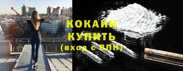 винт Новозыбков