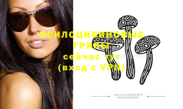 винт Новозыбков