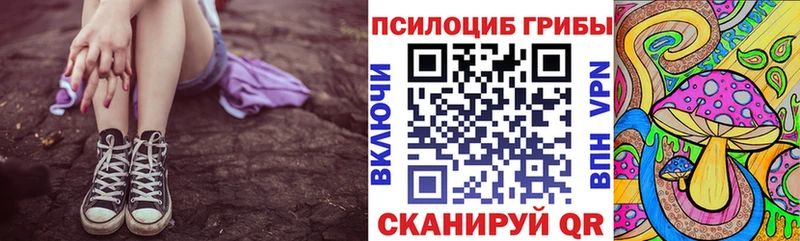 купить наркотик  Нытва  Псилоцибиновые грибы Psilocybine cubensis 